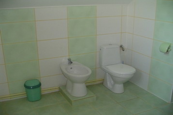 Poljska Privát Kosmów, Eksterijer